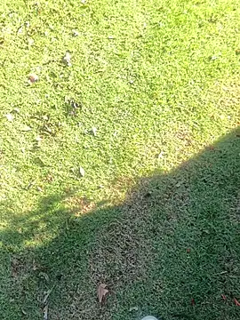 iRealYFuckGood Show Webcam