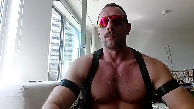 Show webcam de magnussson80