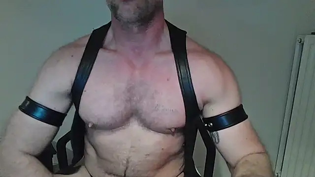 magnussson80n Webbikameraesitys