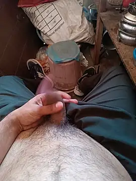 הופעת וובקאם של Himachali_bull_27