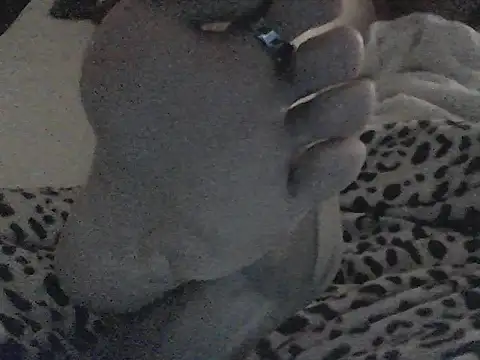 greekmistresseva Webcam-Show
