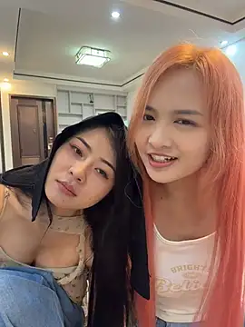jingya521 웹캠 쇼