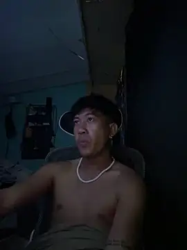 MelQtieee 网络视讯表演