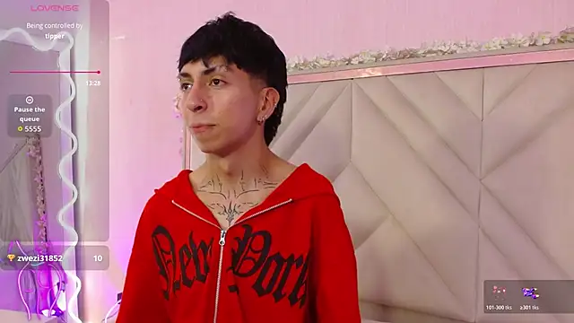 Aress_tayn Webbikameraesitys