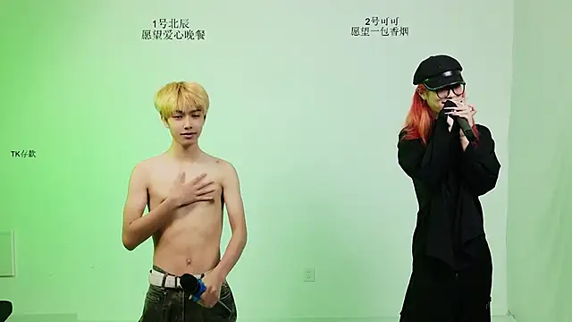 Show Webcam de YinLi-Boy