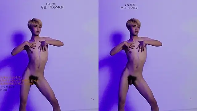 YinLi-Boy 网络视讯表演