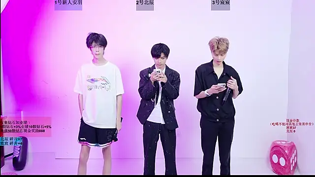 โชว์เว็บแคมของ YinLi-Boy