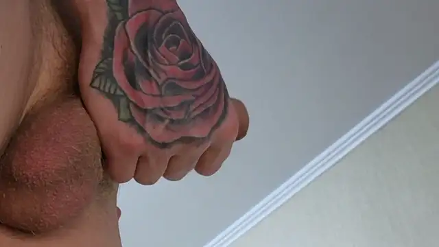 69ice69n Webbikameraesitys