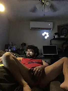 CloudyPapi_Downlowのウェブカメラショー