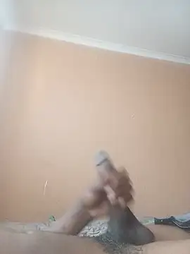 SGee96 Show Webcam