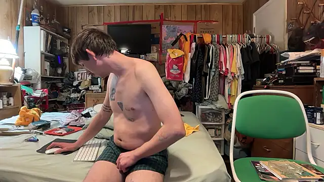 Show Webcam de camboydigital