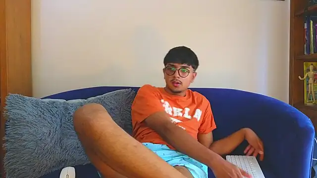 DavidsBonern Webbikameraesitys