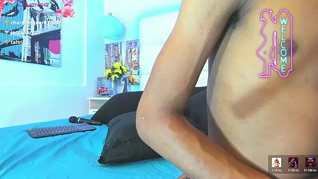 AndyCat3_ Webcam-Show