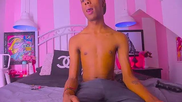 Show webcam de AndyCat3_