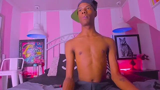 AndyCat3_ webcam show