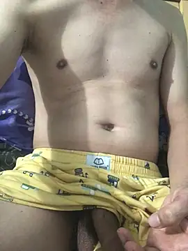 boyvnshow 网络视讯表演