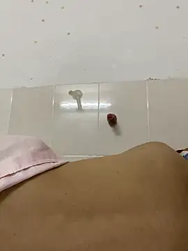 Mr_iphone11 网络视讯表演