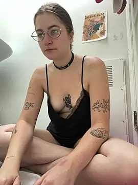 Show webcam de mclacy