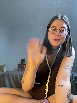 Show Webcam de mclacy