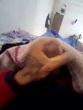 fodegostoso22cms' Webcam Show