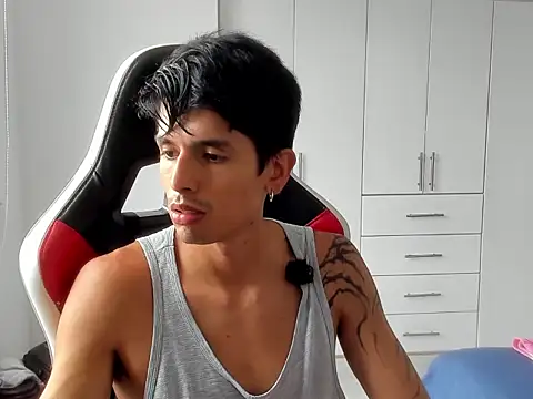 Show Webcam de dantedecentralized