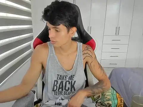 Show webcam de dantedecentralized