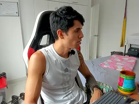 Show Webcam de dantedecentralized