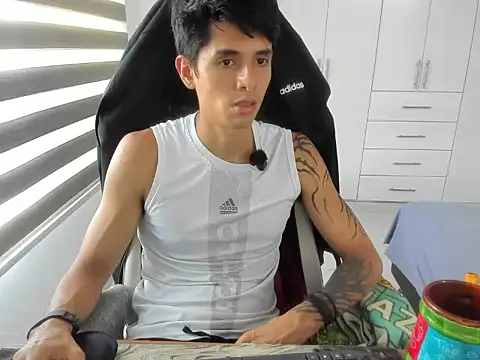 Show Webcam de dantedecentralized