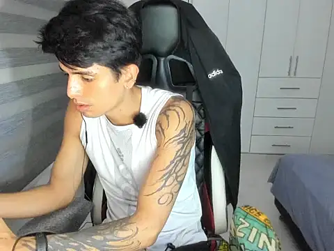 Show Webcam de dantedecentralized