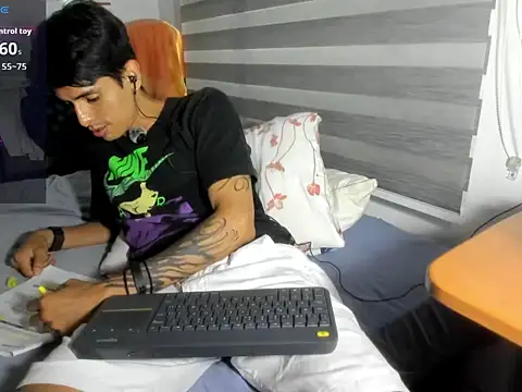 dantedecentralizedn Webbikameraesitys