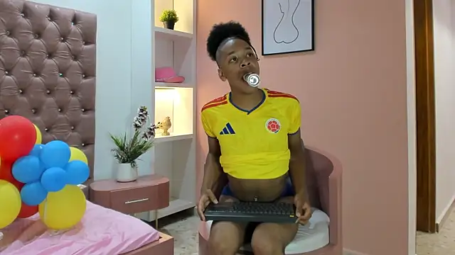 TenderTeachern Webbikameraesitys