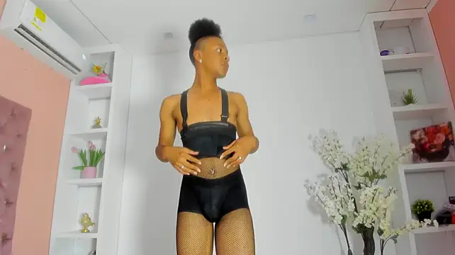 TenderTeacher Show Webcam