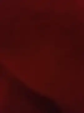 Webkamerová show tekkensc