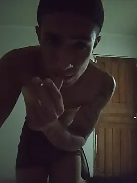 Show de tekkensc na webcam