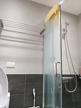 הופעת וובקאם של mochi8802