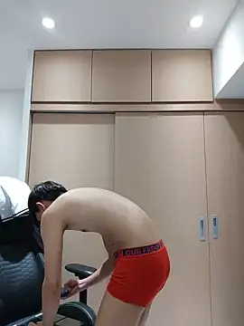 Show webcam de mochi8802