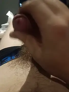 refferd Show in webcam
