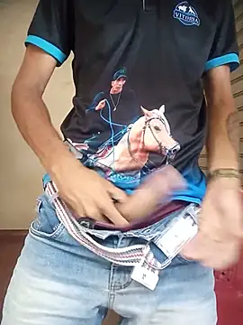 Show webcam de novinhorelampago