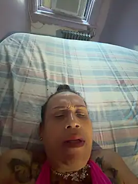 Show Webcam de Stariris169