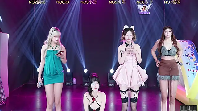 CL-1314 网络视讯表演