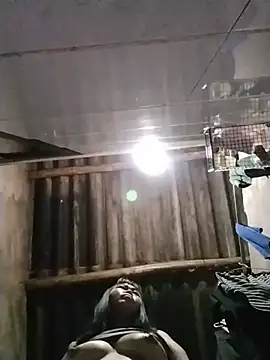 -Lemi- 网络视讯表演