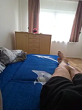 Tibisor71n Webbikameraesitys