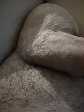 Show de WALDASS na webcam