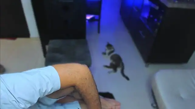 عرض كام Cat_couplee69