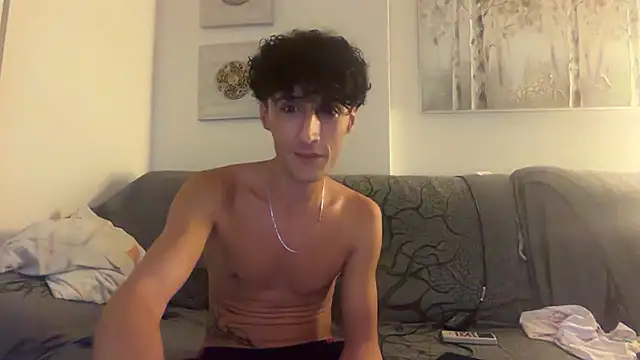 Show de webcam de latenightbros