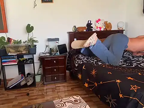 ibrat_andy1 – Kamerová šou