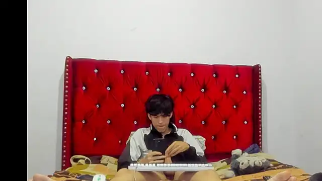 Gael_G18n Webbikameraesitys