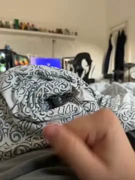 Ethandiggg's Webcam Show