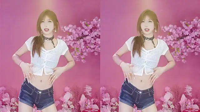 SK-121 网络视讯表演