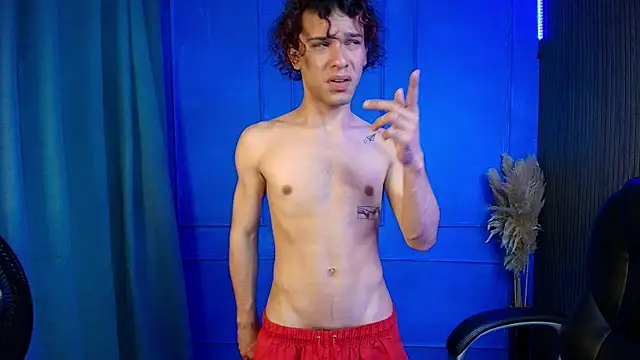 Show webcam de dante_estarlink